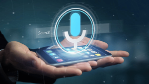 Voice Search Optimization (VSO)